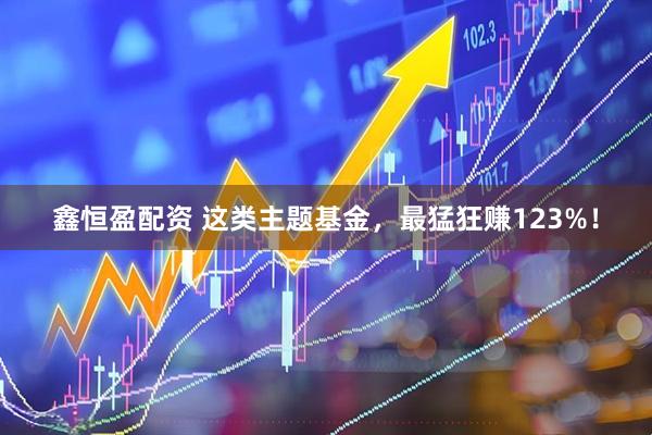 鑫恒盈配资 这类主题基金，最猛狂赚123%！