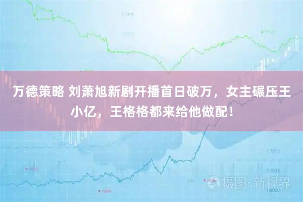 万德策略 刘萧旭新剧开播首日破万，女主碾压王小亿，王格格都来给他做配！