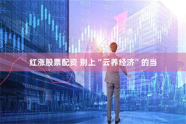 红涨股票配资 别上“云养经济”的当
