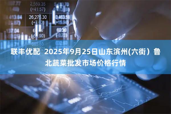 联丰优配  2025年9月25日山东滨州(六街）鲁北蔬菜批发市场价格行情