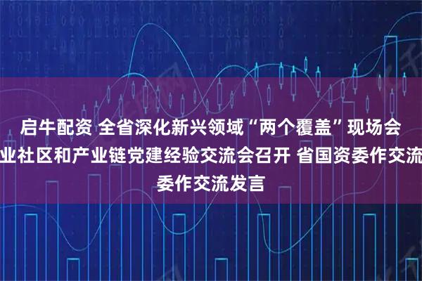 启牛配资 全省深化新兴领域“两个覆盖”现场会暨产业社区和产业链党建经验交流会召开 省国资委作交流发言