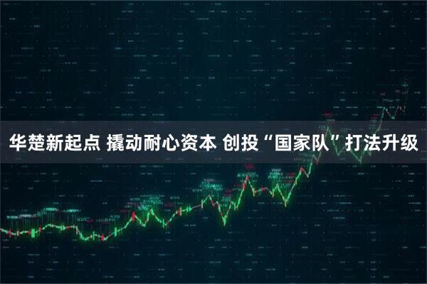 华楚新起点 撬动耐心资本 创投“国家队”打法升级