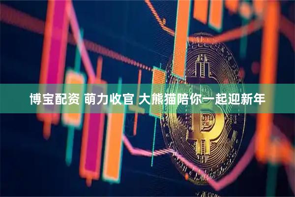 博宝配资 萌力收官 大熊猫陪你一起迎新年