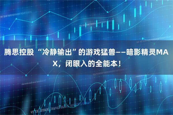 腾思控股 “冷静输出”的游戏猛兽——暗影精灵MAX，闭眼入的全能本！