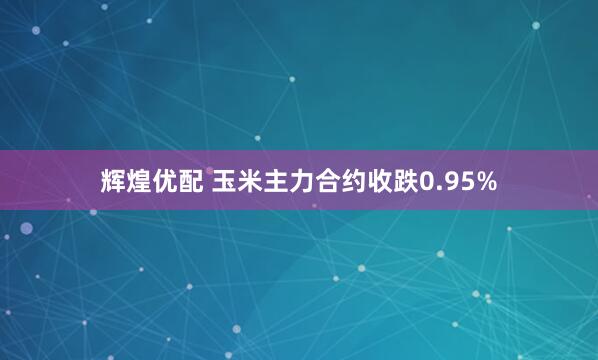 辉煌优配 玉米主力合约收跌0.95%